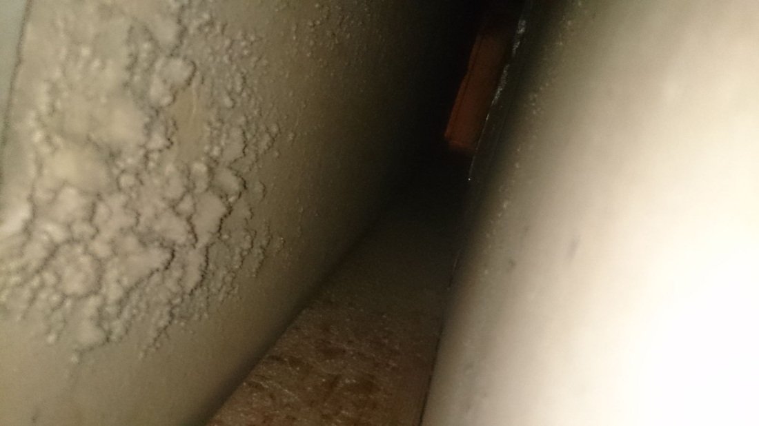 Return trunk before cleaning