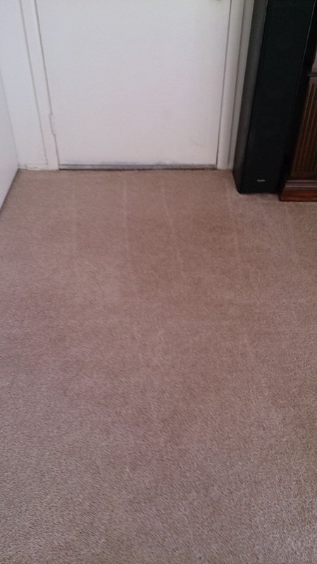 Scotchgard protection applied to clean carpet