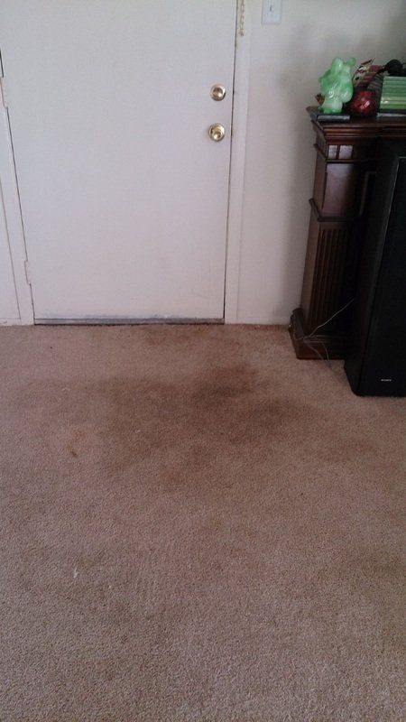 Stained carpet before cleaning