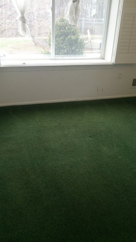 Carpet after cleaning