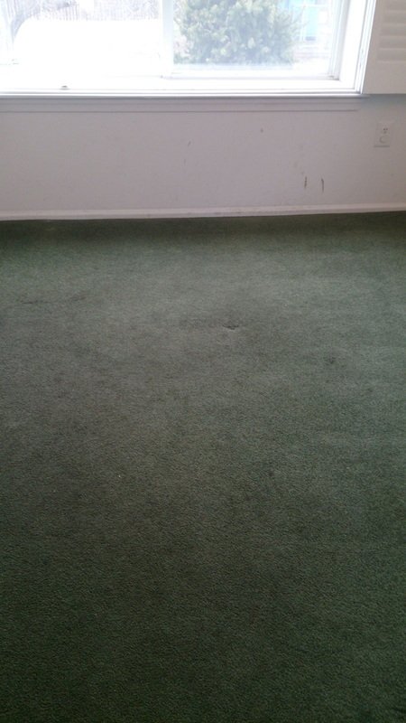 Carpet before cleaning
