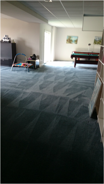 Professional carpet cleaning