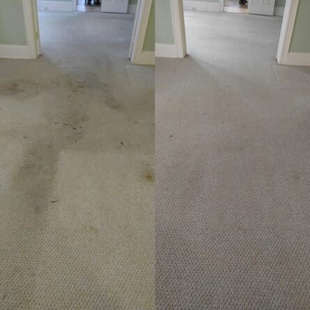 Rental property carpet before and after cleaning